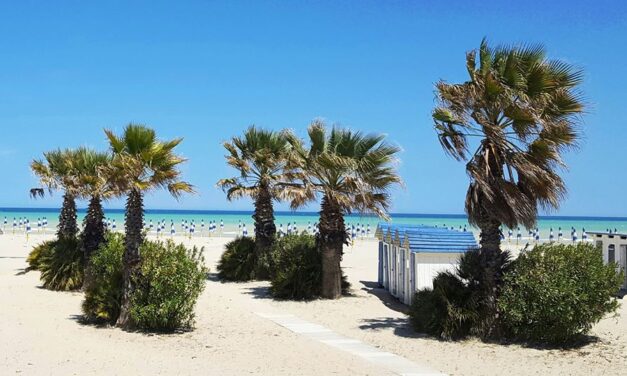 Amici di Giulianova.it: il gruppo Facebook di Giulianova.it