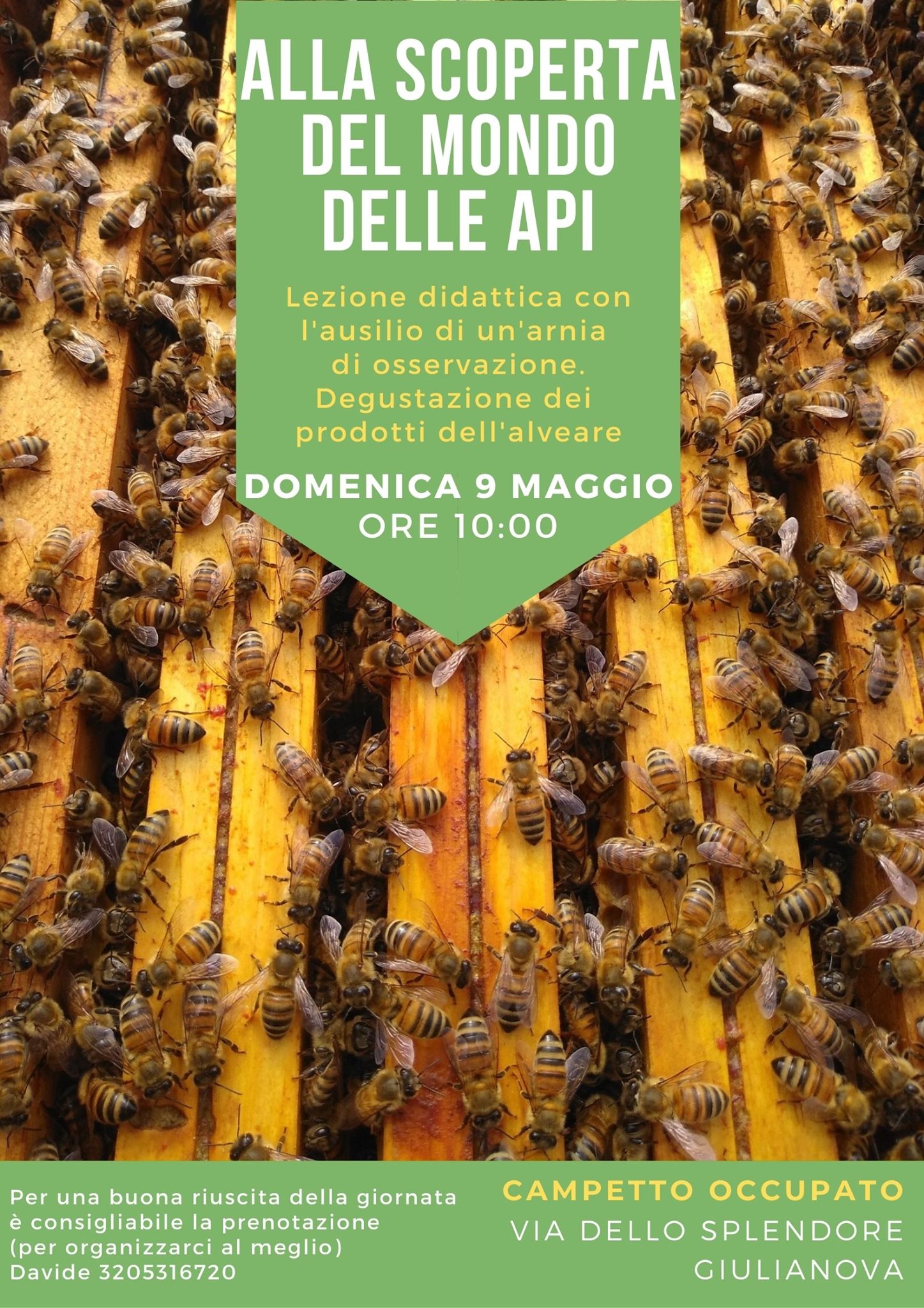 Alla scoperta del mondo delle api Giulianova