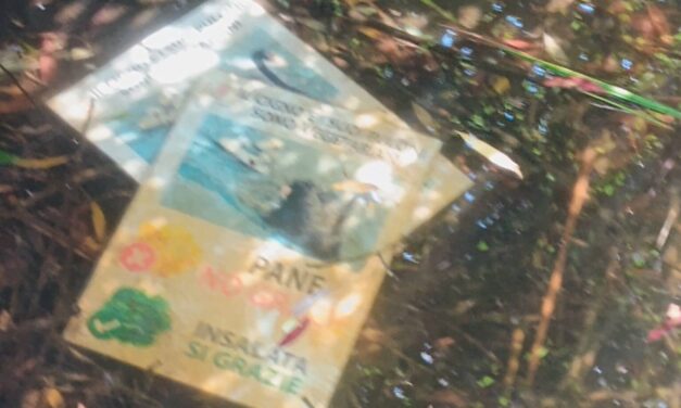 Teramo, danneggiata la segnaletica nel Parco fluviale