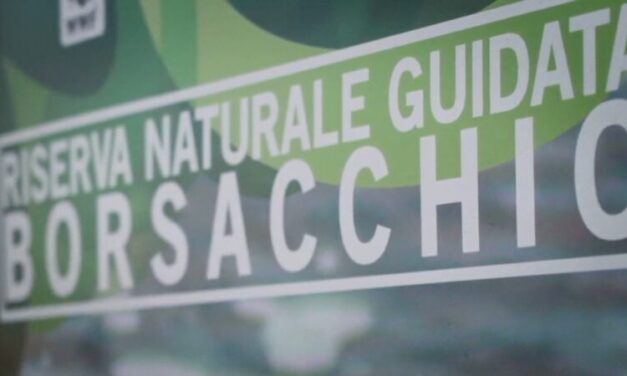 Borsacchio, tornano i vincoli su tutta l’area storica