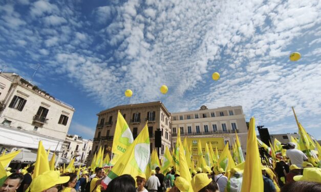 Olio extravergine, l’Abruzzo si mobilita contro i falsi