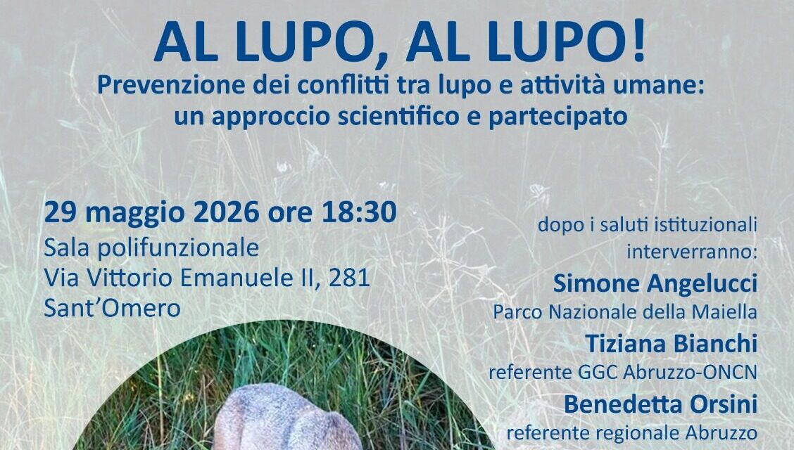 Lupo e attività umane, incontro pubblico a Sant’Omero