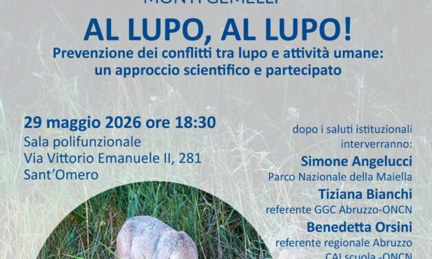 Lupo e attività umane, incontro pubblico a Sant’Omero