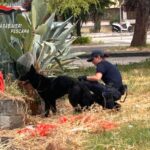 Pescara, blitz antidroga in casa Ater: sei misure cautelari