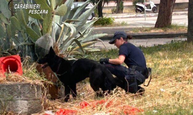 Pescara, blitz antidroga in casa Ater: sei misure cautelari