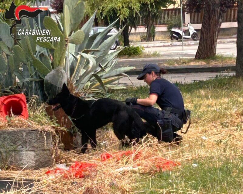 Pescara, blitz antidroga in casa Ater: sei misure cautelari