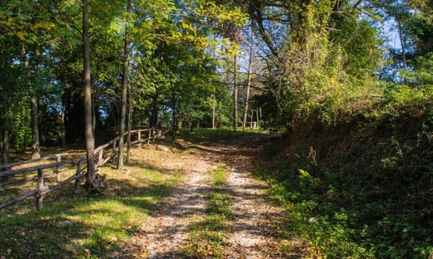 Fiume Fiumetto: inizia il progetto La sostenibilità in Comune