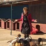 Animali, a Montesilvano una giornata tra sfilata e microchip