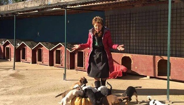 Animali, a Montesilvano una giornata tra sfilata e microchip