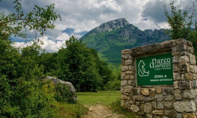 Parco e agricoltori abruzzesi uniti su fauna e pascoli