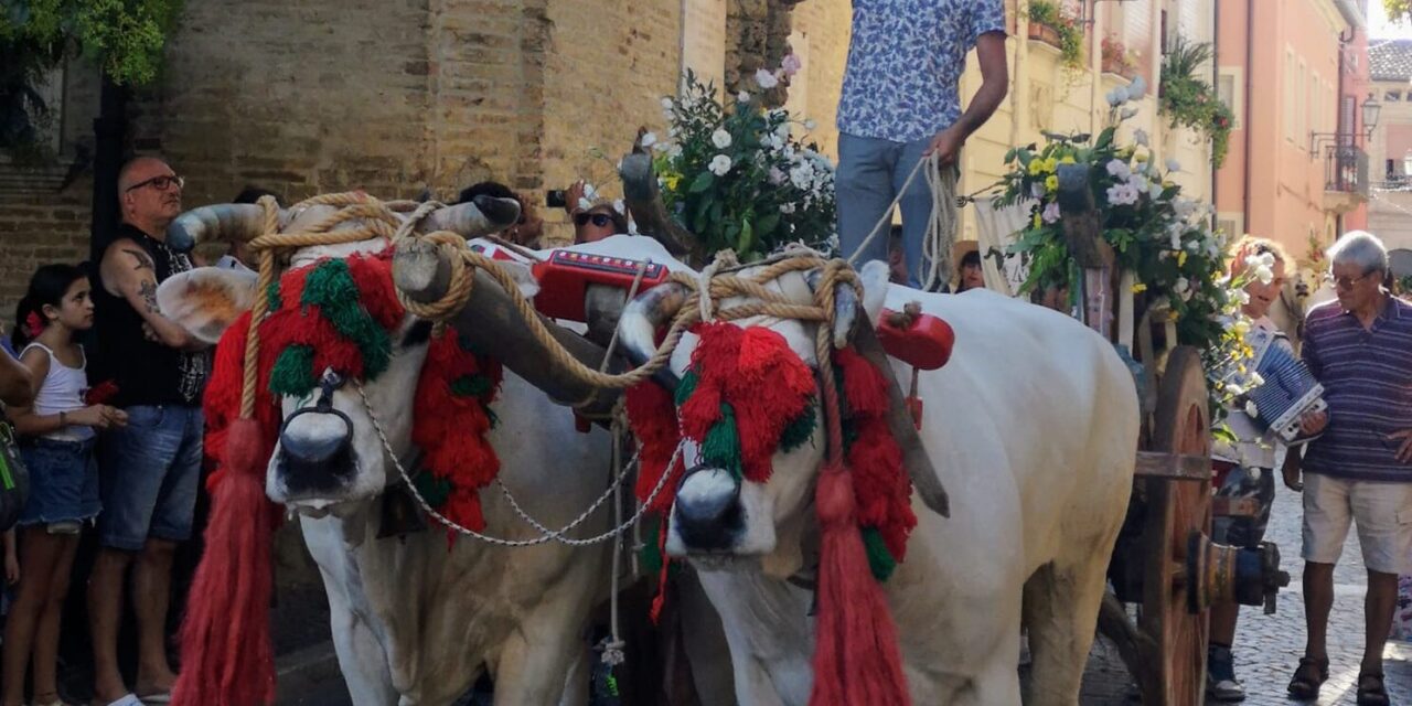 Atri, sei giorni di festa nel rione Capo d’Atri