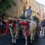 Atri, sei giorni di festa nel rione Capo d’Atri