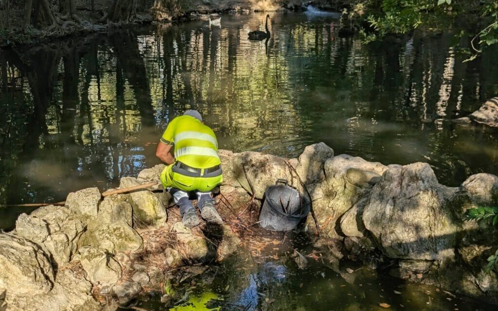 Villa comunale, confronto aperto sulla portata d’acqua al laghetto