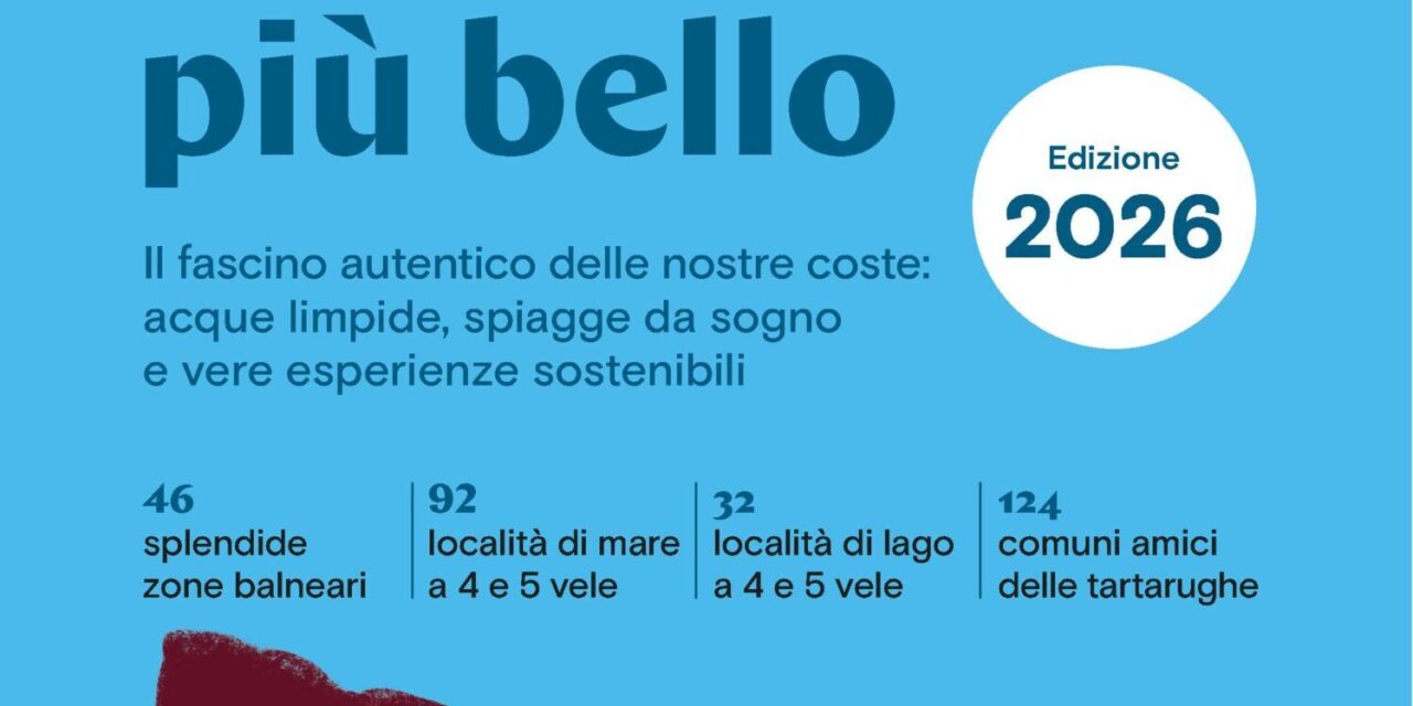 Tartarughe e fratino, il mare abruzzese sotto osservazione