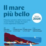 Tartarughe e fratino, il mare abruzzese sotto osservazione