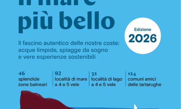 Tartarughe e fratino, il mare abruzzese sotto osservazione
