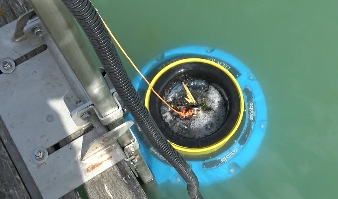 A Pescara parte Aqualis: nuovo presidio contro plastiche e microplastiche