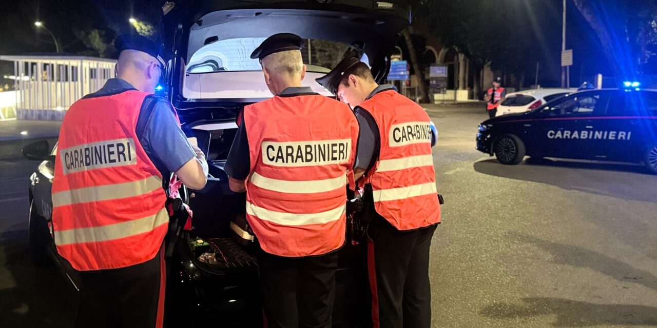 Controlli sulla costa: cane ferito a Giulianova, denunce