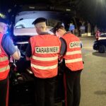 Controlli sulla costa: cane ferito a Giulianova, denunce