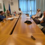 Roseto, tavolo tecnico sul parassita che minaccia i pini