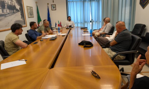 Roseto, tavolo tecnico sul parassita che minaccia i pini