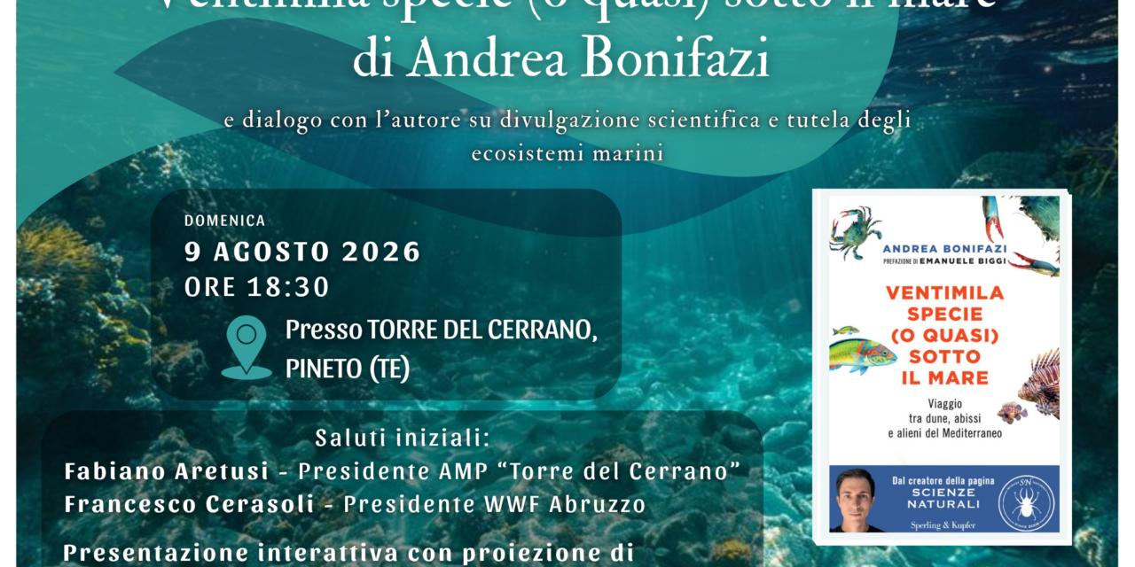 Torre del Cerrano, incontro sul mare del Mediterraneo