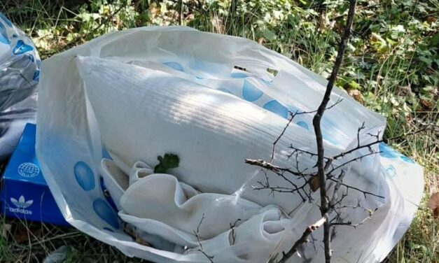 Rifiuti scaricati lungo la strada per Poggio Cono