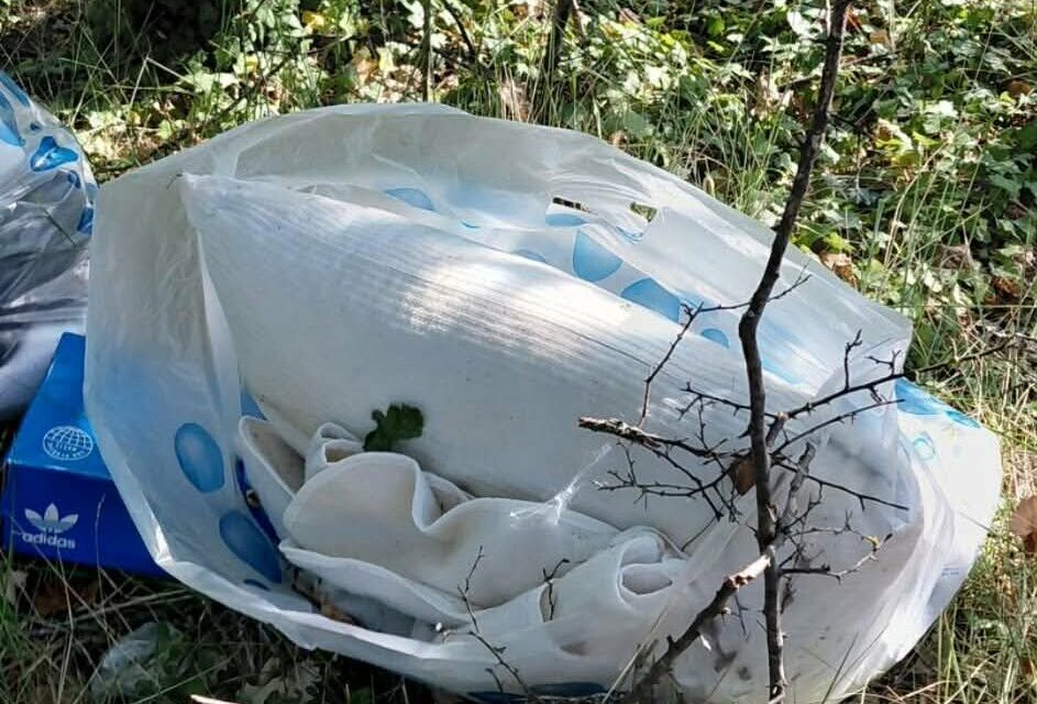 Rifiuti scaricati lungo la strada per Poggio Cono