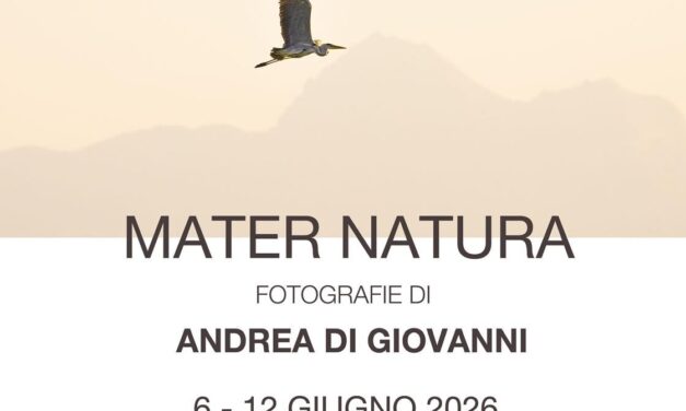 Pineto, natura abruzzese in mostra a Villa Filiani
