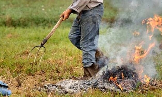 Rogo di residui agricoli a Corropoli, allarme nei campi