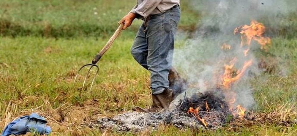 Rogo di residui agricoli a Corropoli, allarme nei campi