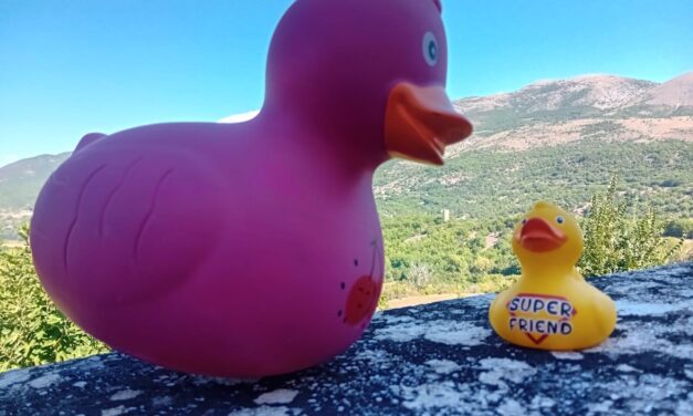 Papere galleggianti, in Abruzzo arriva una sfida mondiale
