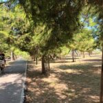 Silvi, 330mila euro per pineta e Parco Nassiriya