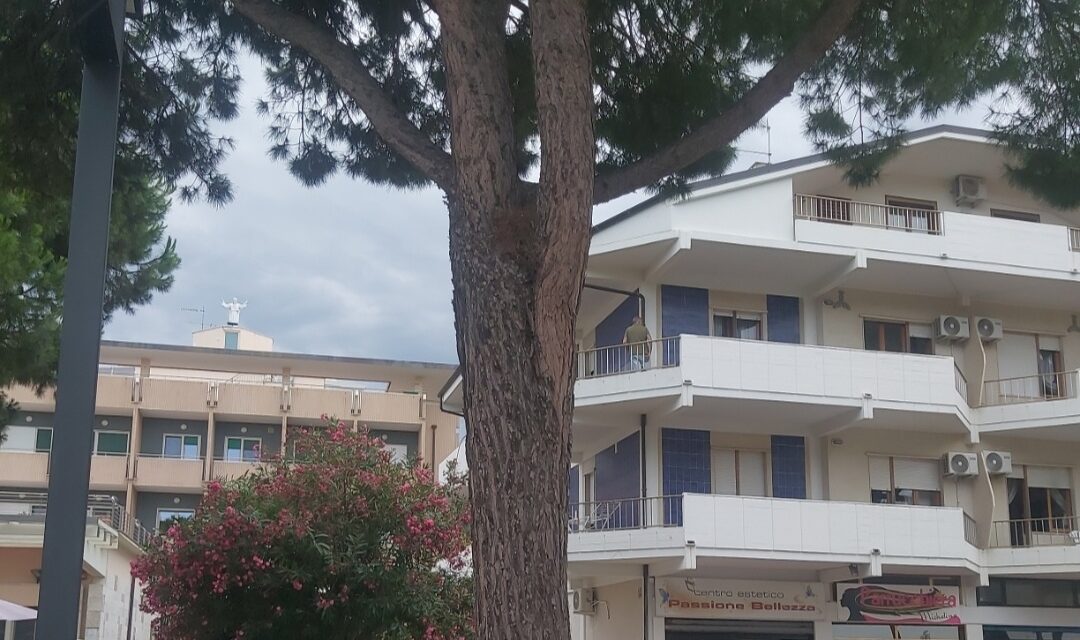Silvi, partiti i tagli dei pini sul lungomare: protestano le associazioni