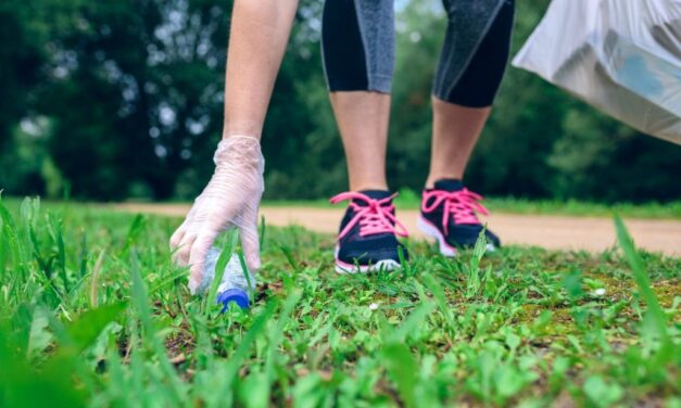 IX Giornata Ecologica: domenica 19 settembre a Giulianova