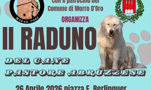 Morro d’Oro celebra il cane pastore abruzzese