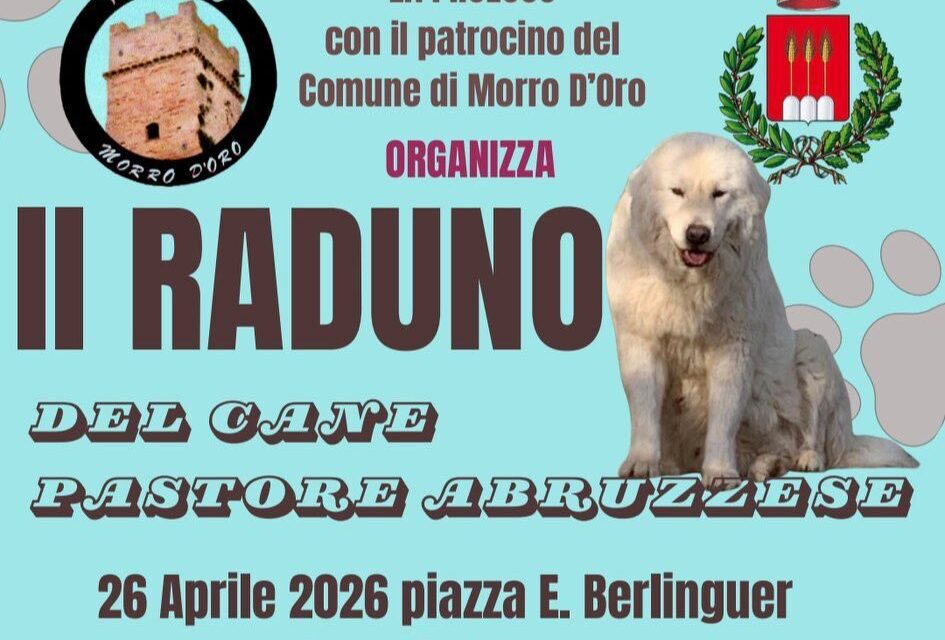 Morro d’Oro celebra il cane pastore abruzzese