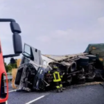 Camion si ribalta sulla A14, disagi al traffico verso sud