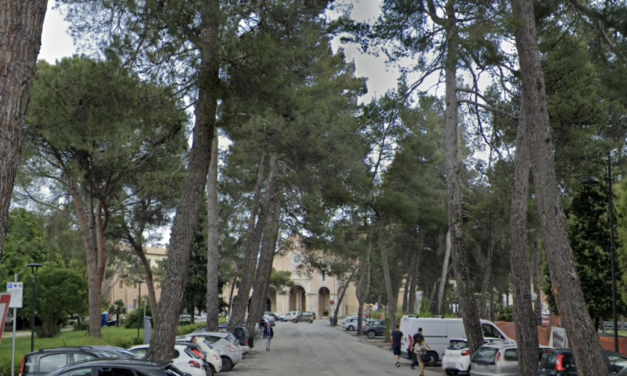 Teramo, lavori sull’asfalto nell’area di Madonna delle Grazie