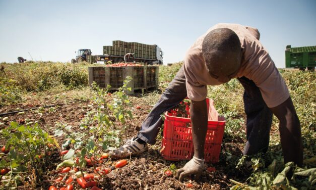 Caporalato agricolo, Cia Abruzzo chiede regole più efficaci