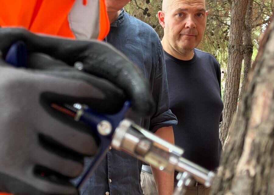 Pineto, allarme cocciniglia: chiesto un intervento regionale