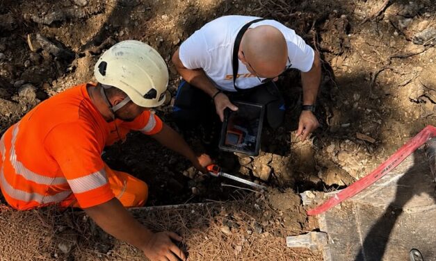 Via Nievo, lavori stradali con tutela degli alberi a Giulianova