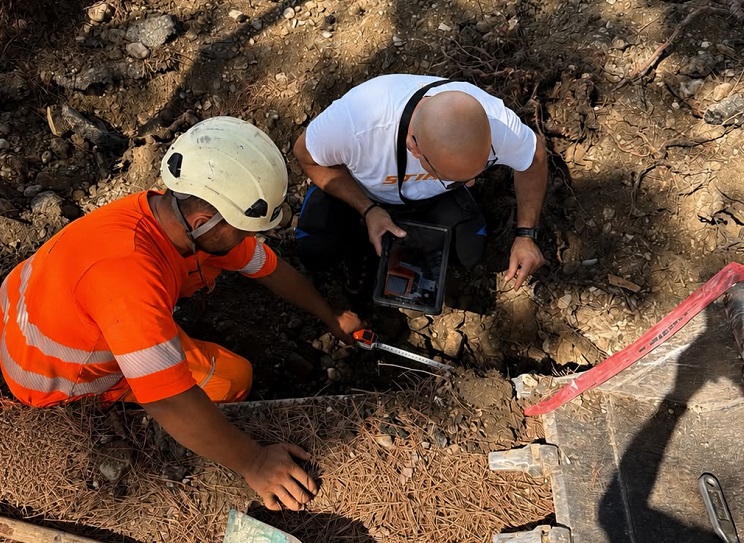 Via Nievo, lavori stradali con tutela degli alberi a Giulianova