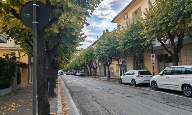 Via Thaon di Revel, il comitato contesta le letture sul Tar