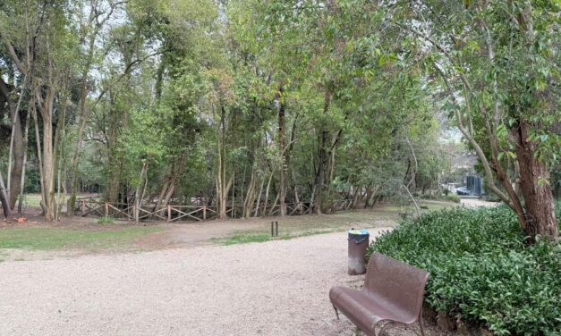 Teramo, emergenza idrica nel parco: il Comune interviene