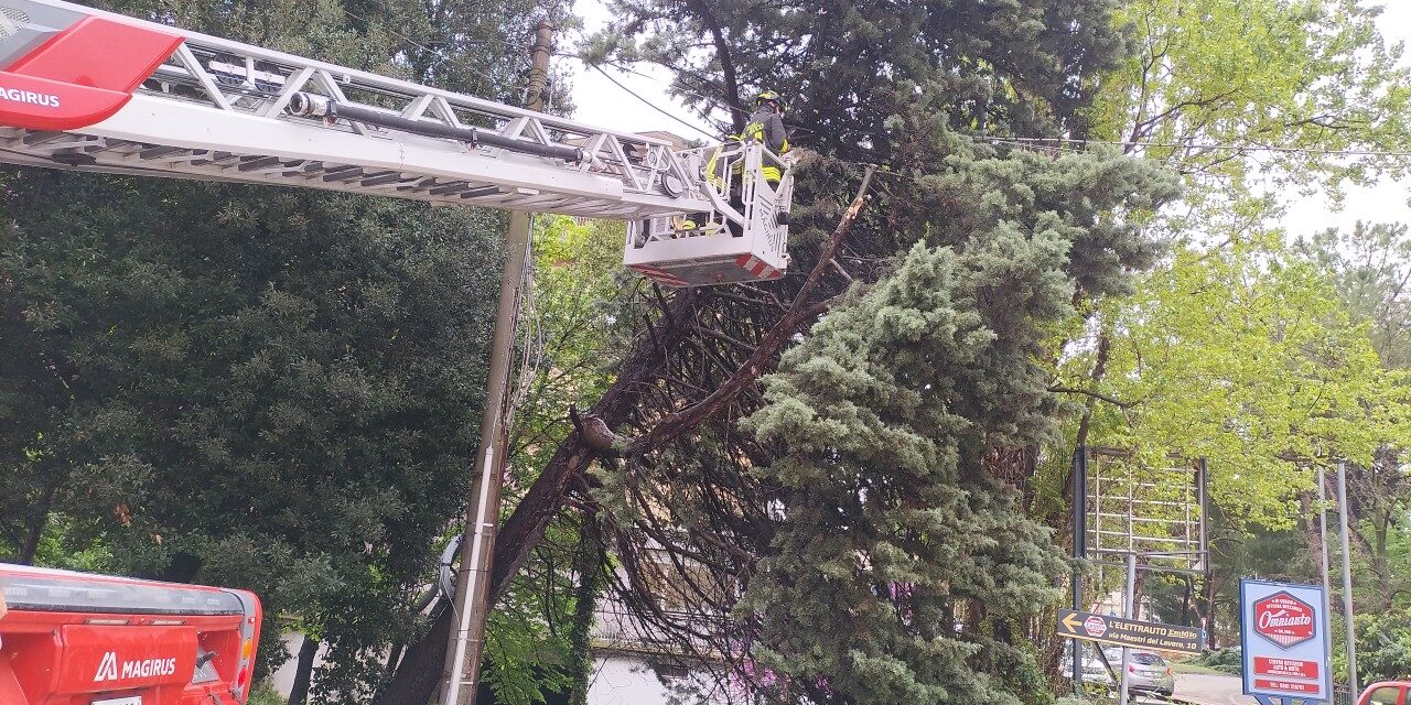 Pioggia intensa nel Teramano, numerosi interventi dei pompieri