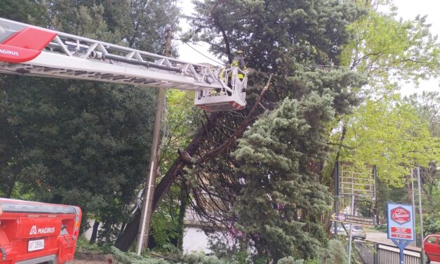 Pioggia intensa nel Teramano, numerosi interventi dei pompieri