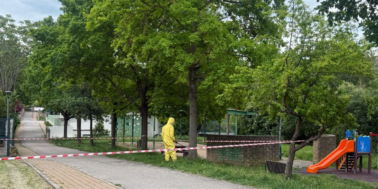 Teramo, area del parco giochi chiusa dopo la segnalazione di calabroni