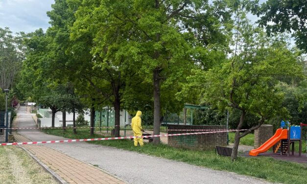 Teramo, area del parco giochi chiusa dopo la segnalazione di calabroni