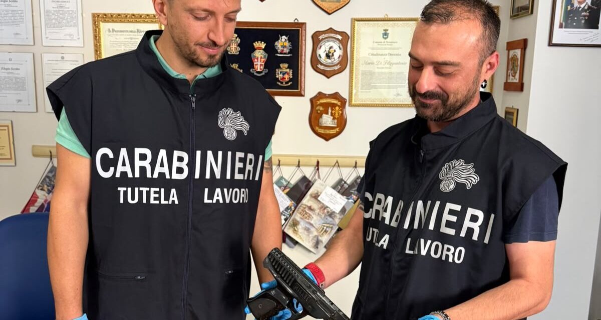 Teramo, indagine sul lavoro nei boschi: denunciato imprenditore